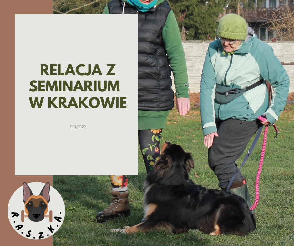Relacja z seminarium w Krakowie
